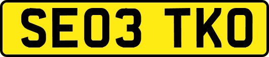SE03TKO