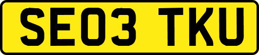 SE03TKU
