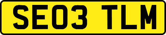 SE03TLM