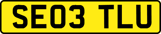 SE03TLU