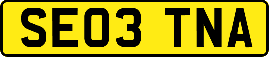 SE03TNA