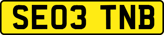 SE03TNB