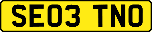 SE03TNO