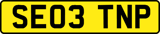 SE03TNP