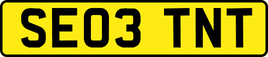 SE03TNT