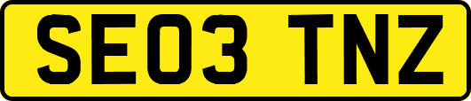 SE03TNZ