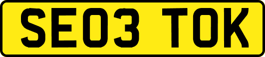 SE03TOK