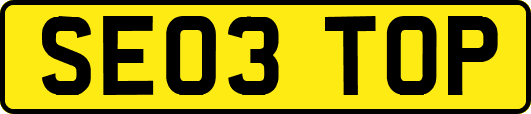 SE03TOP