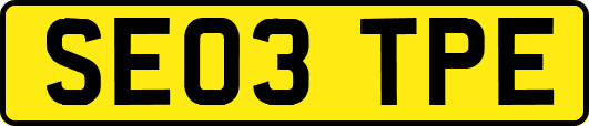 SE03TPE