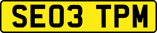 SE03TPM