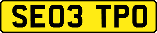 SE03TPO