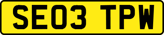SE03TPW