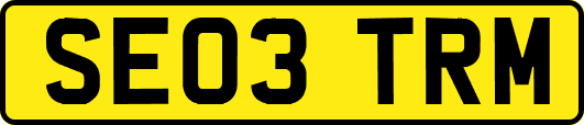 SE03TRM