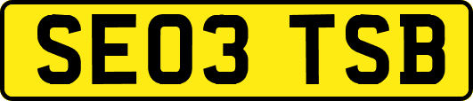 SE03TSB