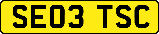 SE03TSC