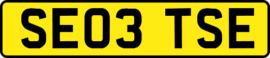 SE03TSE