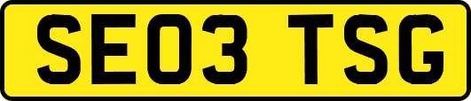 SE03TSG