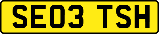 SE03TSH