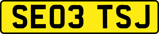 SE03TSJ
