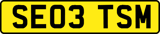 SE03TSM