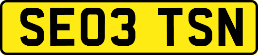 SE03TSN