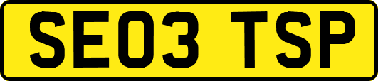 SE03TSP