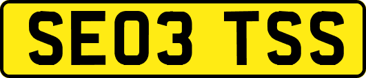 SE03TSS