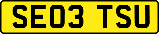 SE03TSU