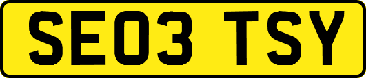 SE03TSY