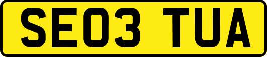SE03TUA
