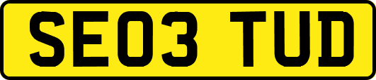SE03TUD