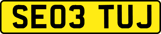 SE03TUJ