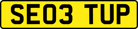 SE03TUP