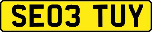 SE03TUY