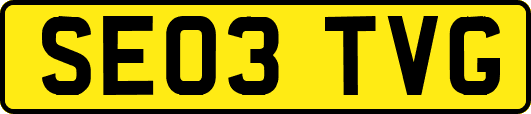 SE03TVG