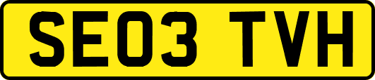 SE03TVH