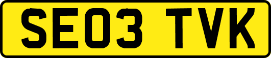 SE03TVK