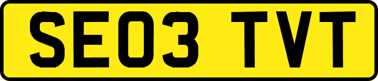 SE03TVT