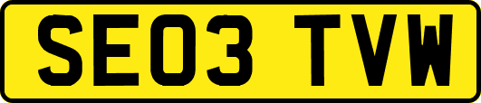 SE03TVW