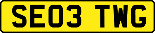 SE03TWG
