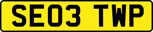 SE03TWP