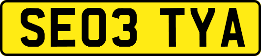 SE03TYA