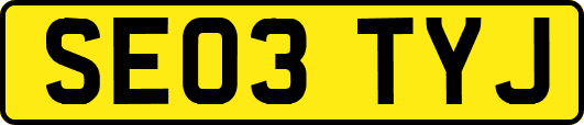 SE03TYJ