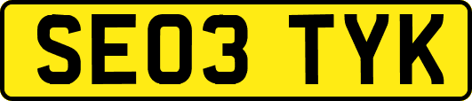 SE03TYK