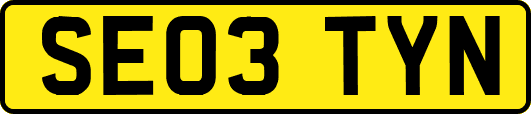 SE03TYN