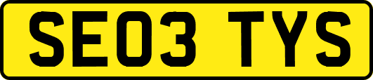 SE03TYS