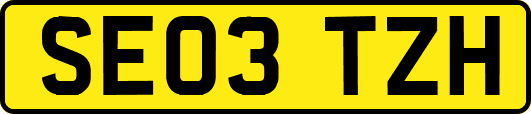 SE03TZH