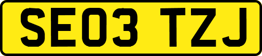 SE03TZJ