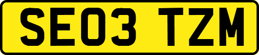 SE03TZM