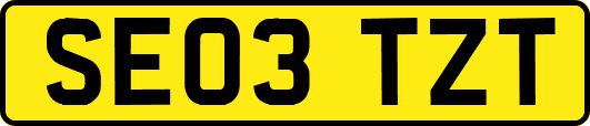 SE03TZT